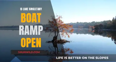 Lake Singletary Boat Ramp: Open for Business?