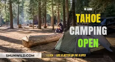 Is Lake Tahoe Camping Open? Current Status and Updates for 2023