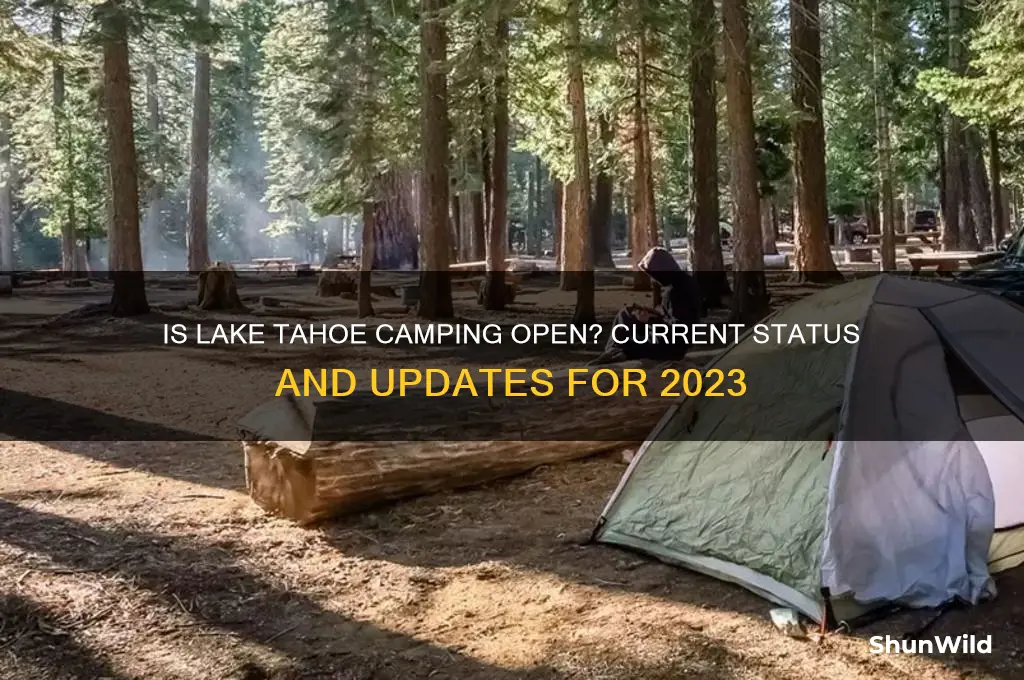 is lake tahoe camping open