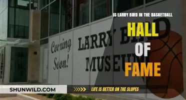 Larry Bird: Basketball Hall of Famer?