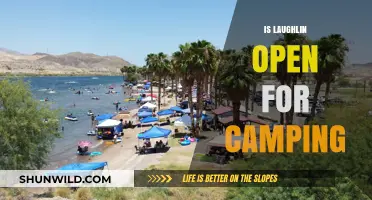 Is Laughlin Open for Camping? Your Ultimate Guide to Outdoor Adventures