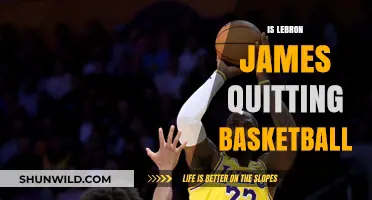 LeBron James: Is Retirement on the Cards?