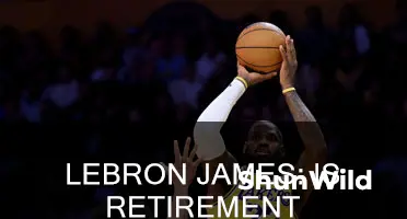 is lebron james quitting basketball