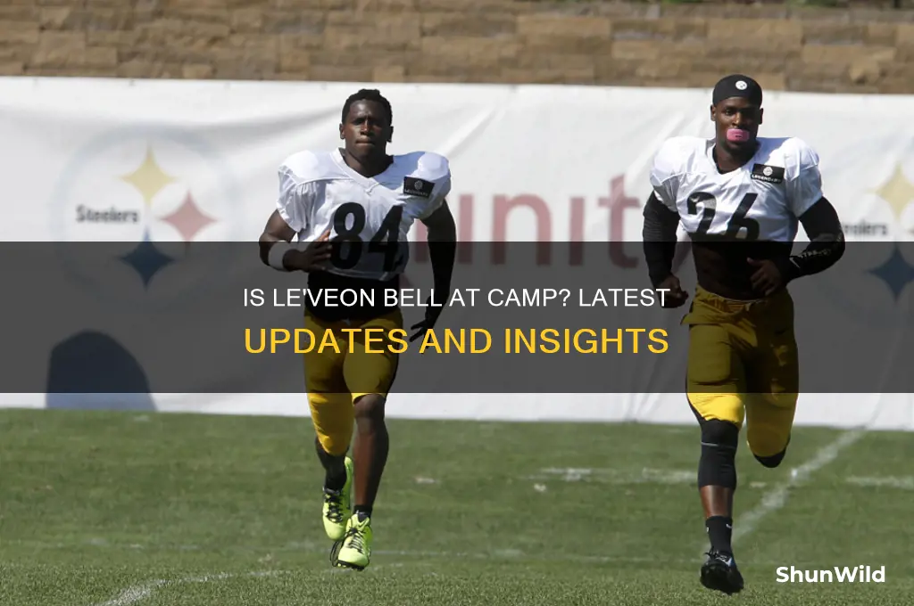 is leveon bell at camp
