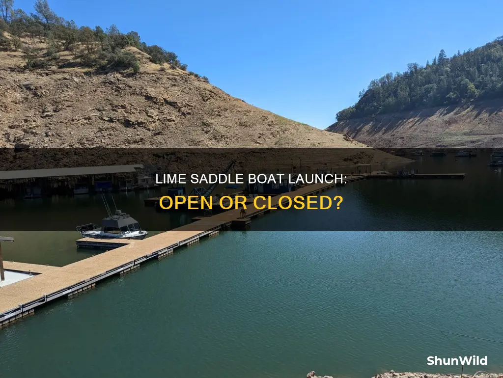 is lime saddle boat launch open