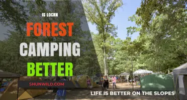 Is Lockn Forest Camping Superior? Exploring Pros, Cons, and Alternatives
