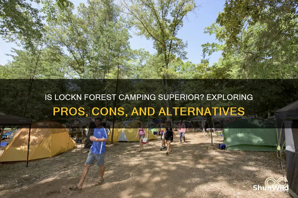 is lockn forest camping better