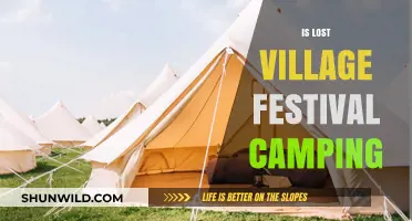 Is Lost Village Festival Camping Worth It? Tips and Insights