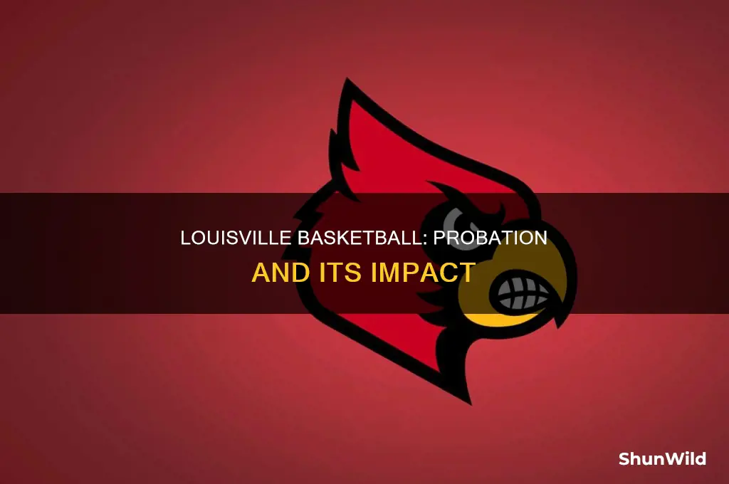 is louisville basketball on probation