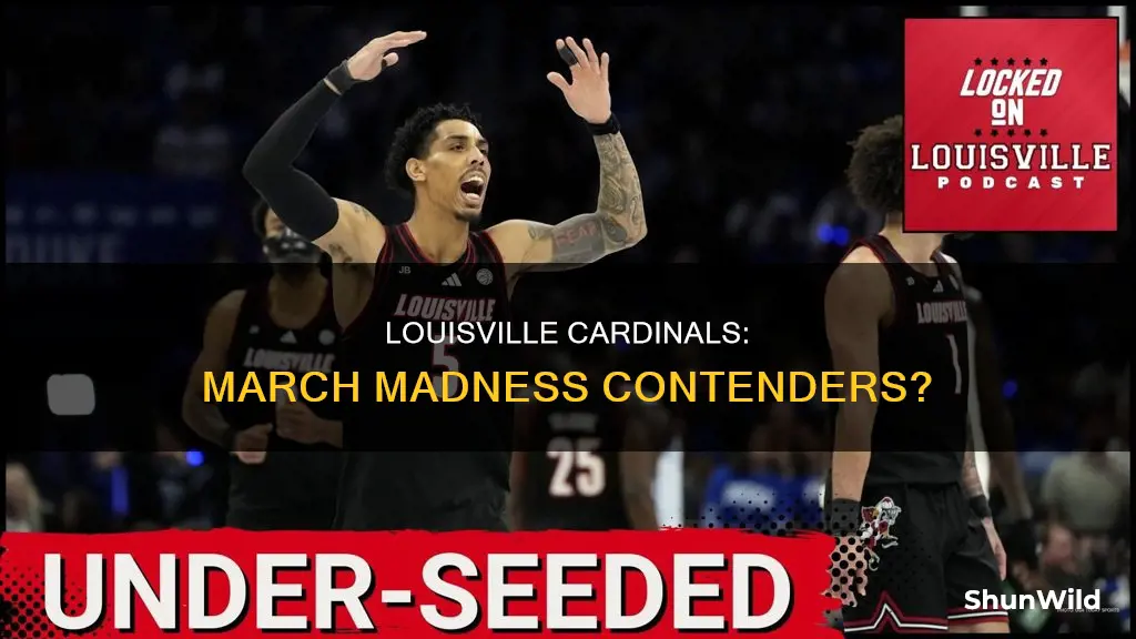 is louisville men