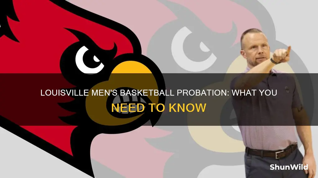 is louisville men