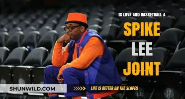 Love & Basketball: Spike Lee's Classic Romance