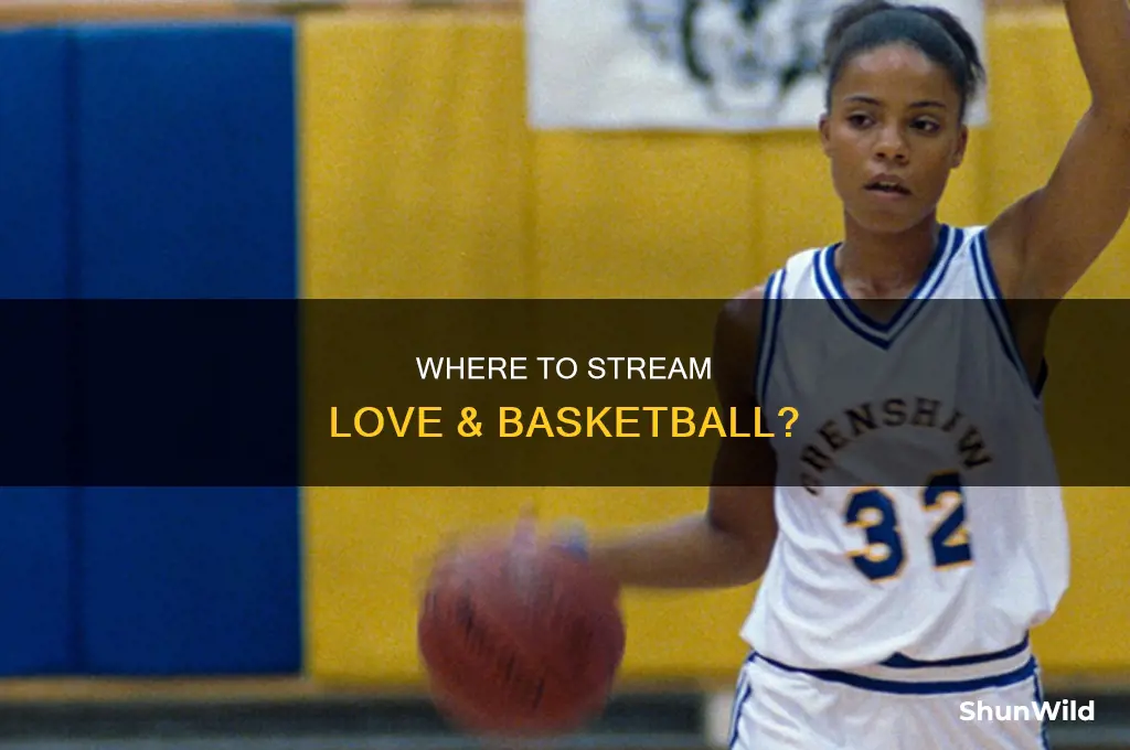 is love and basketball on demand