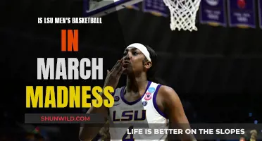 LSU Men's Basketball: March Madness Contenders?