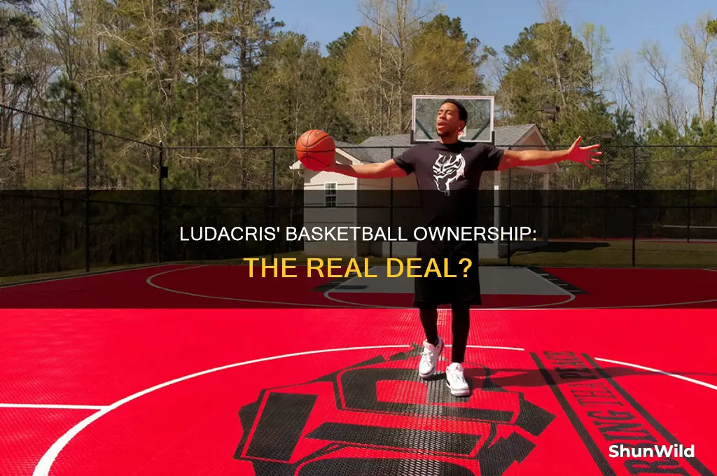 is ludacris basketball owner