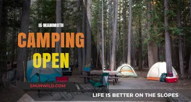 Is Mammoth Camping Open? Your Guide to Current Status and Updates