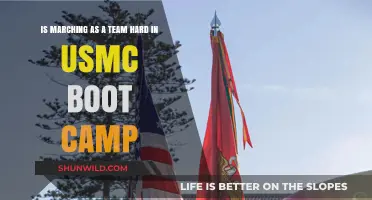 Team Marching in USMC Boot Camp: Challenges and Unity Revealed