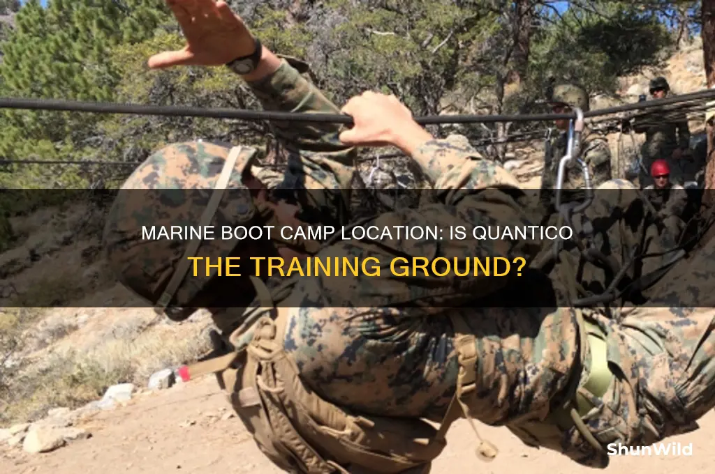 is marine boot camp in quantico