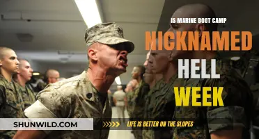 Marine Boot Camp's Hell Week: Myth or Reality?