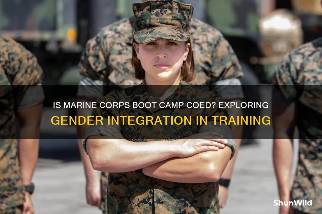 is marine corps boot camp coed