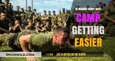 Is Marine Corps Boot Camp Softening? Examining Modern Training Standards