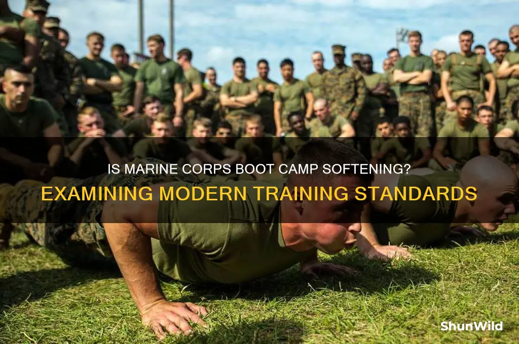 is marine corps boot camp getting easier