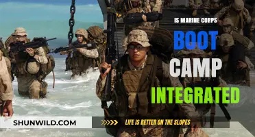 Is Marine Corps Boot Camp Integrated? Exploring Gender and Racial Diversity