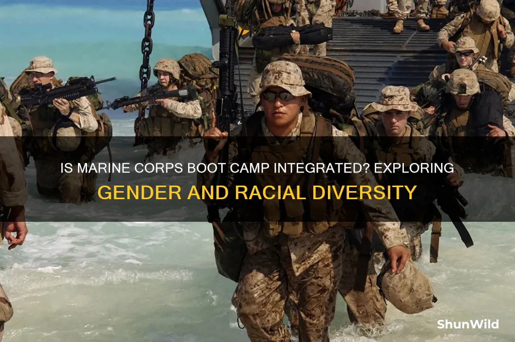 is marine corps boot camp integrated