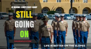 Is Marine Corps Boot Camp Still Active? Current Status Explained