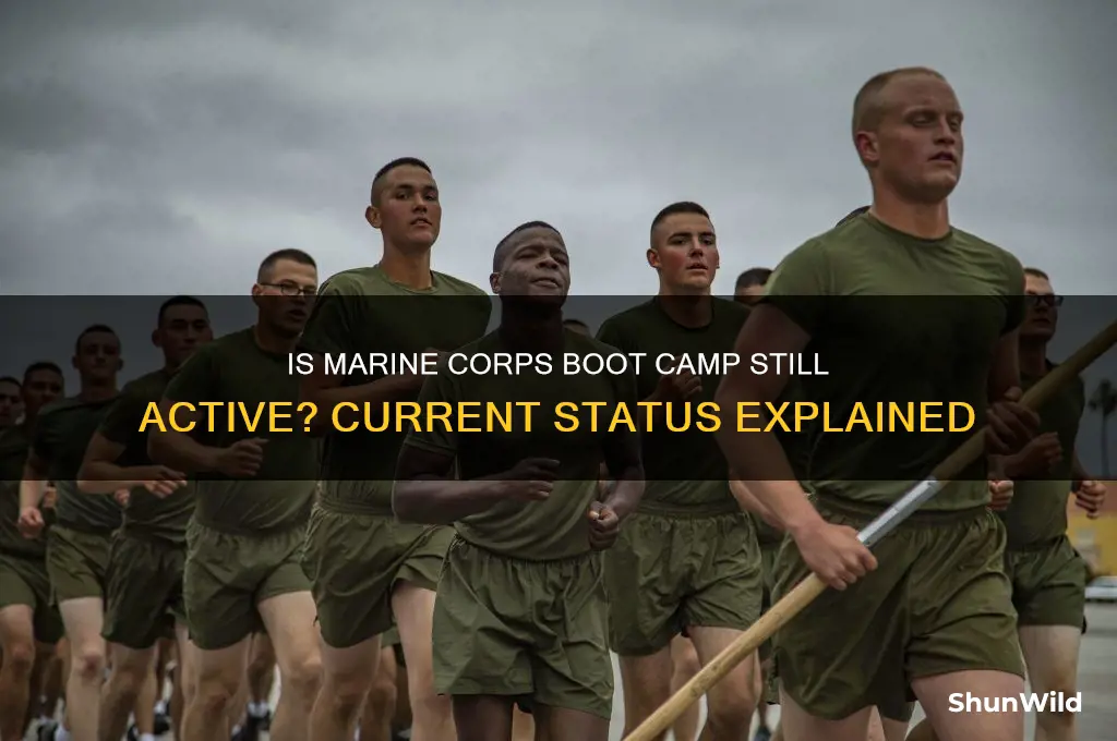 is marine corps boot camp still going on