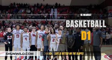 Marist Basketball: D1 Status and Future Prospects