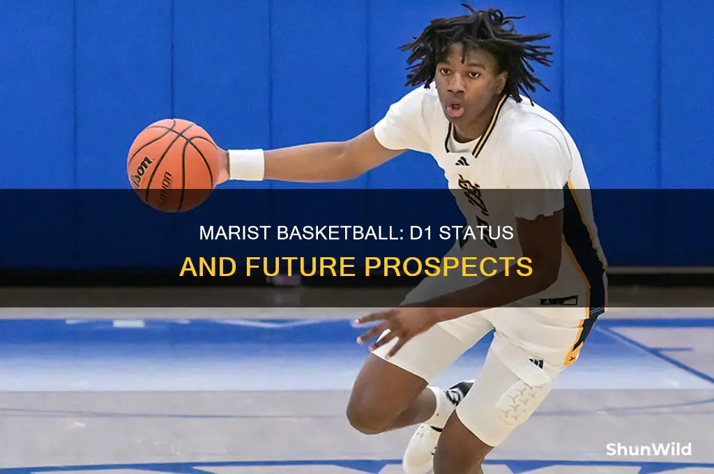is marist basketball d1