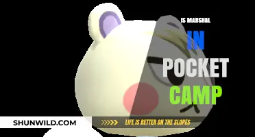 Is Marshal in Pocket Camp? Exploring Animal Crossing's Fan-Favorite Character