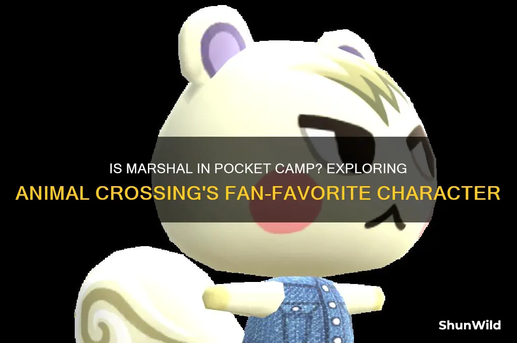 is marshal in pocket camp