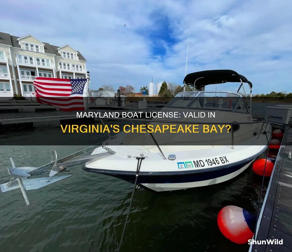 is maryland boat license good in Virginia chesapeake bay