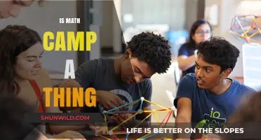 Is Math Camp a Thing? Exploring Summer Learning Adventures