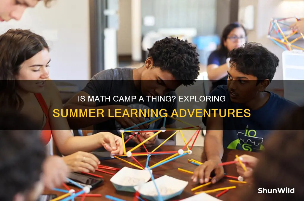 is math camp a thing
