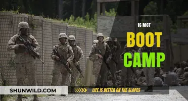 Is MCT Boot Camp Right for You? A Comprehensive Guide