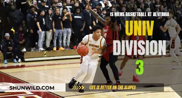 Alvernia University's Basketball Team: Division 3 Champs?