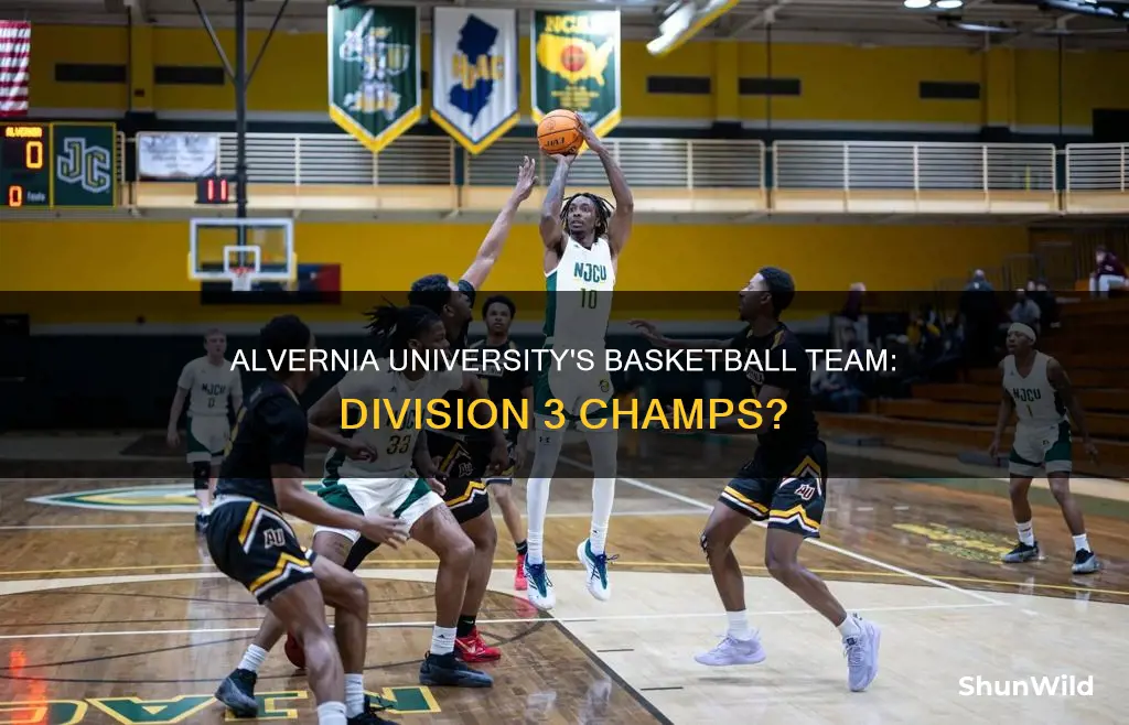 is mens basketball at alvernia univ division 3