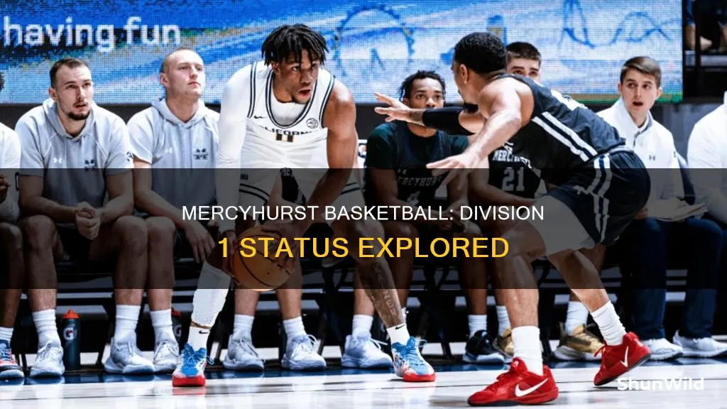is mercyhurst basketball division 1