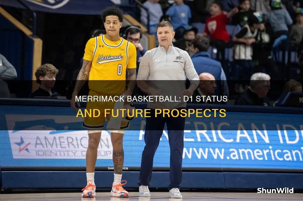 is merrimack basketball d1