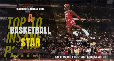 Michael Jordan: Basketball Legend, Everlasting Star?
