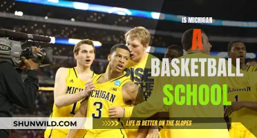 Michigan's Basketball Legacy: A School's Sporting Identity