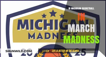 Michigan Basketball: March Madness Contenders?
