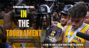Michigan Basketball: Tournament Contender or Pretender?