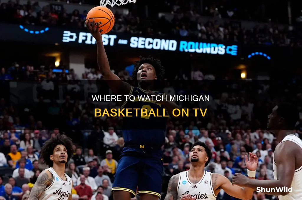 is michigan basketball on tv