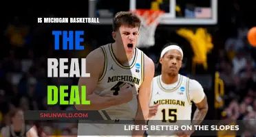 Michigan Basketball: True Contender or Pretender?