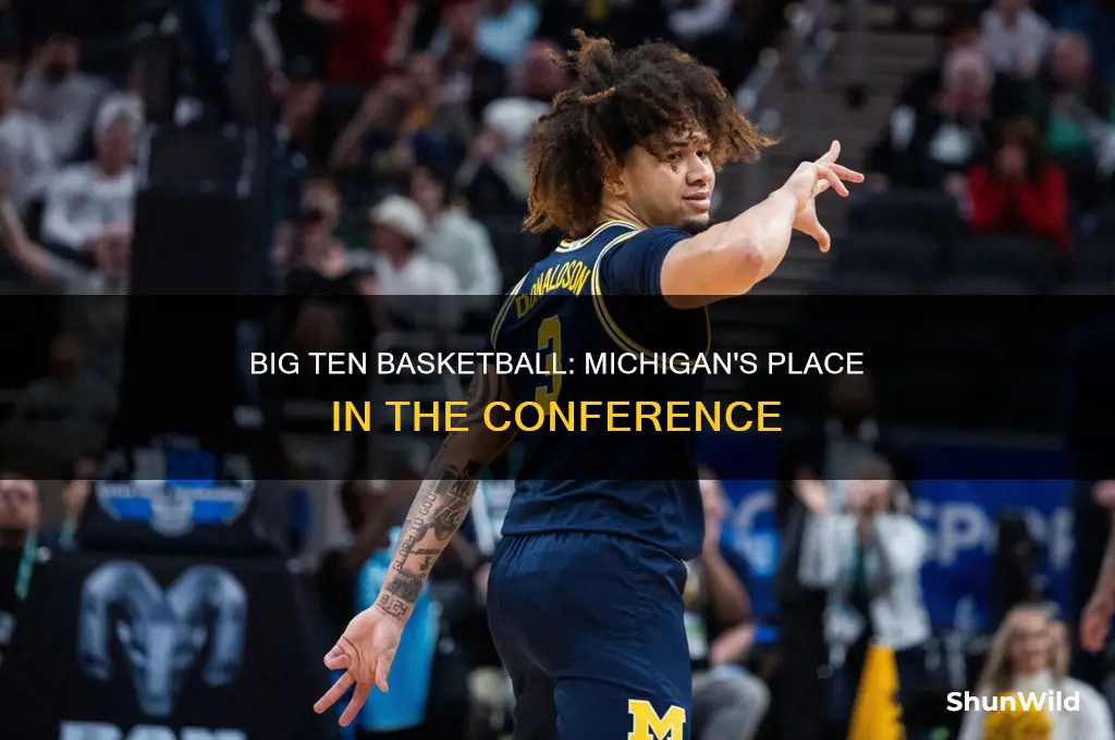 is michigan big ten for basketball