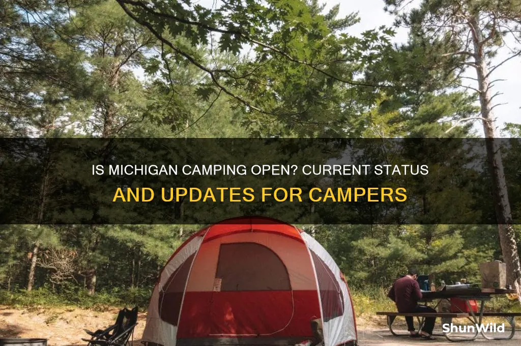 is michigan camping open